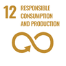 12 Responsible Consumption and Production 12 Responsible Consumption and Production