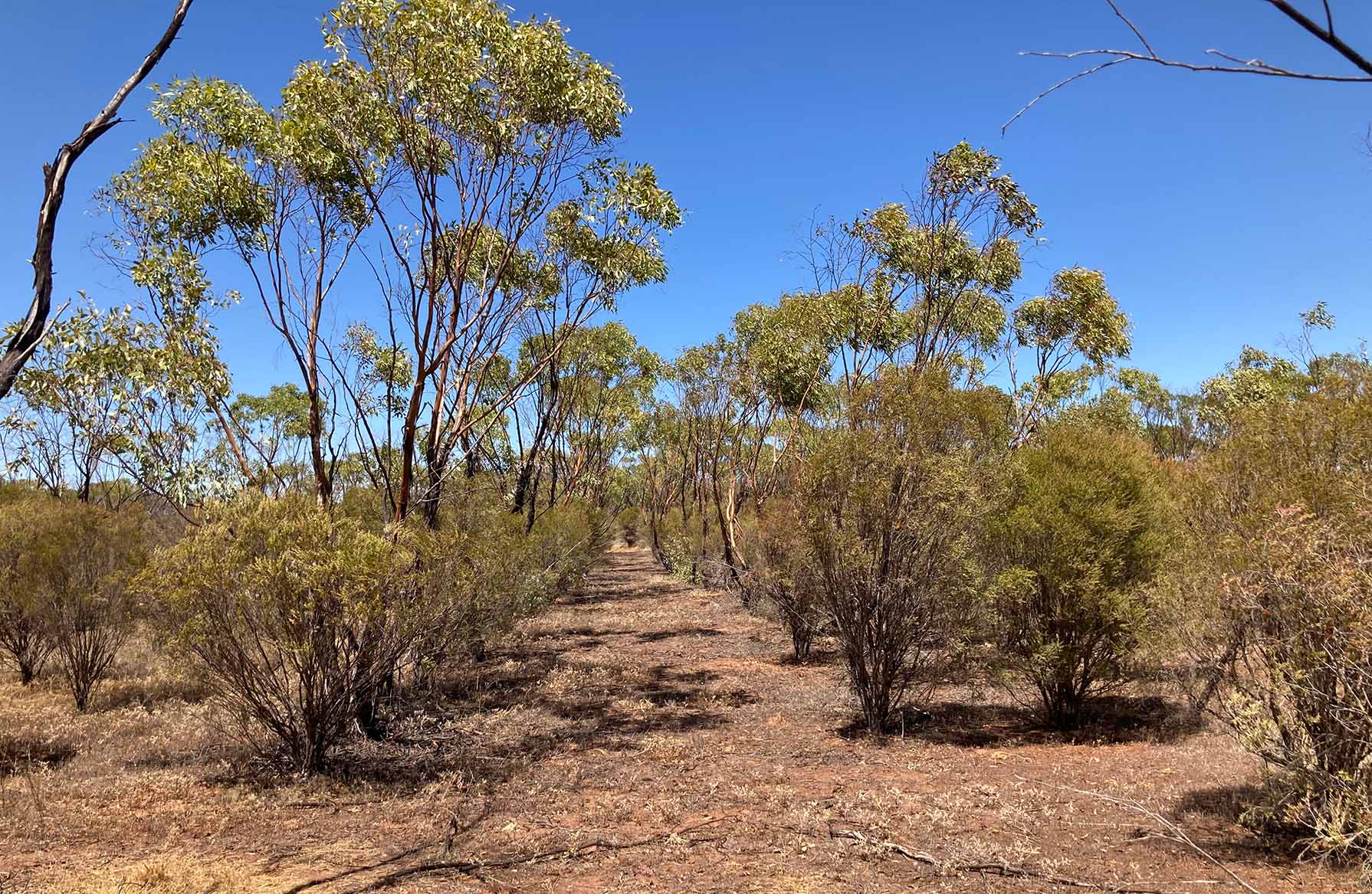 An image of InterEarth